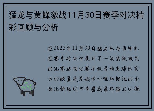 猛龙与黄蜂激战11月30日赛季对决精彩回顾与分析